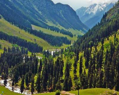aru valley